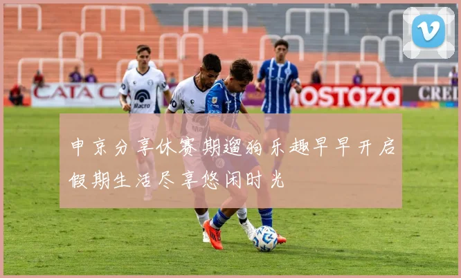 申京分享休赛期遛狗乐趣早早开启假期生活尽享悠闲时光
