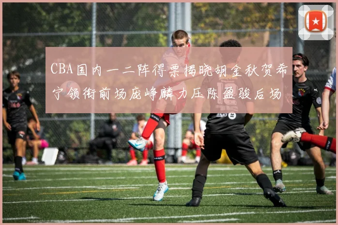 CBA国内一二阵得票揭晓胡金秋贺希宁领衔前场庞峥麟力压陈盈骏后场