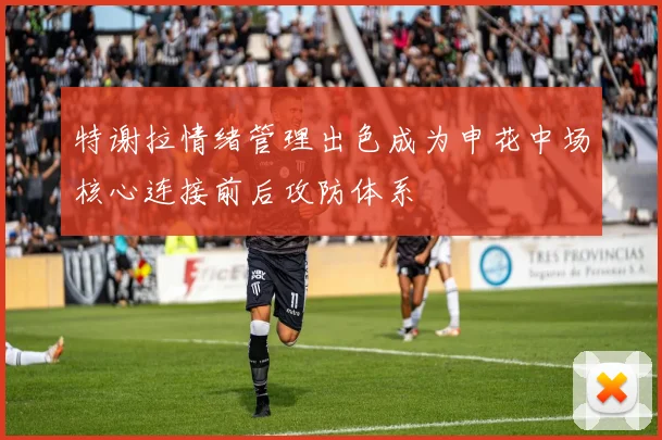 特谢拉情绪管理出色成为申花中场核心连接前后攻防体系